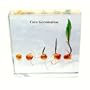 Corn Seed Development