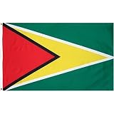 Guyana Flag Polyester 3 Ft X 5 Ft
