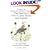 A Guide to the Identification and Natural History of the Sparrows of the United States and Canada