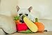 P.L.A.Y. Cute Plush Dog Toys - Fruit & Vegetable Themed Durable Squeaker Chew Toy, Great for Puppies & Small, Medium, Large Dogs - Machine Washable, Recycled Materials (Garden Fresh Zucchini, Medium)