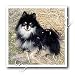 pomeranian18 - Black and Tan Pomeranian 10x10 Iron On Heat