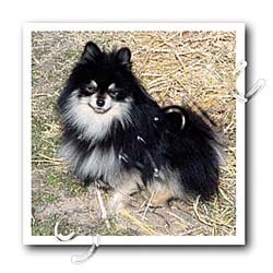 image link - - B000LJMAG2