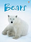 Bears