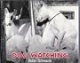 Dog Watching
