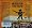 The Crow: New Songs for the Five String Banjo