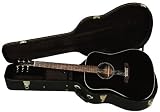 Hudson HD-20S “Black Falcon” Acoustic Guitar