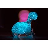 Dino Pet Gift Option