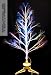 Tektrum 32" White Fiber Optic Lights Twig Tree With Rainbow Color Changing LEDs