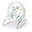 Bright Starts 8732 - Savannah Dreams - Babywippe