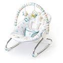 Bright Starts 8732 - Savannah Dreams - Babywippe