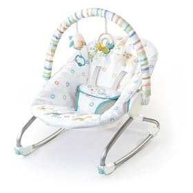 Bright Starts Savanna Dreams Rocker