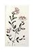 A Colour Plate From Curtis' Flora Londinesis - William Curtis Art Print Poster - 13.25 x 20