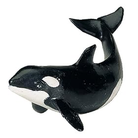 Click here to buy Killer Whale Calf, Monterey Bay Aquarium, Scale 1 40 by Safari.