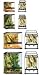 Exo Terra Terrariums - EXO TERRA TERRARIUM LARGE