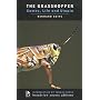 The Grasshopper: Games, Life and Utopia