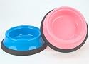 27cm large pet food bowl - Blue