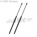 2x Gasfeder OPEL ZAFIRA 1.6 16V/CNG,1.8 16V,2.0 DI 16V/DTI 16V/OPC,2.2 16V/DTI 16V BJ 99-05