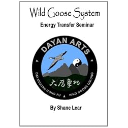 Wild Goose System - Energy Transfer Seminar