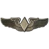 U.S. Air Force WASP Wings Pin 3