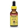 Nature's Answer Guarana Seed, 1-Ounce