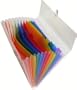 Exacompta 55298e Trieur valisette 13 compartiments 24 x 32 Polypro Crystal Polypro