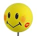 Smiley Kissed Antenna Ball Topper