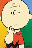 Peanuts Charlie Brown Zeichentrick Film-Movie-Poster