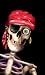 Peppy the Pirate Translucent Window Decorations