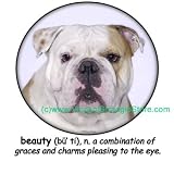 Bulldog Beauty Adult Long Sleeve T Shirt