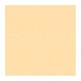 York Wallcoverings JE3535SMP Friends Forever Small Polka Dot 8-Inch x 10-Inch Wallpaper Memo Sample,