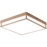 Panasonic LEDシーリングライト~12畳 HH-LC793A 白い虫