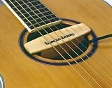 Bass Guitar Parts