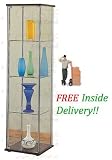 Modern Contemporary Glass Curio Cabinet w/Cappuccino Top & Bottom