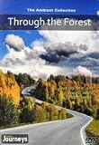 Fitness Journeys - Through the Forest
