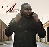 Director [12 inch Analog]