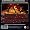 Alison Krauss & Union Station - Live