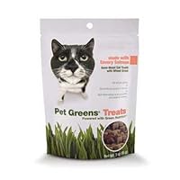 Pet Greens Treats Savory Salmon Semi-Moist Cat Treats