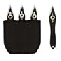 Joy Enterprises FP90010 Fury Ninja Adjustable Weight Throwing Knife, Three Piece Set, Black