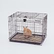 Precision Pet Rabbit Resort Crate SM Precision Pet Rabbit Resort Crate SM