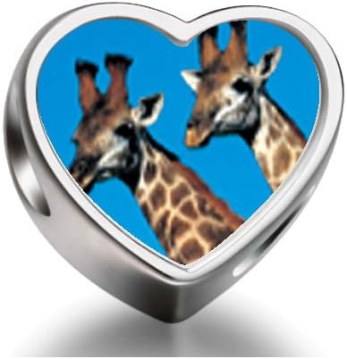 Two Giraffes Heart Photo Charm Beads