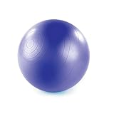 Stott Pilates Stability Ball with Pump (75cm, Purple)