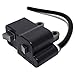 Echo Genuine OEM Ignition Coil A411000130 ES-210 GT-200 HC-150 PB-200 PPF-210