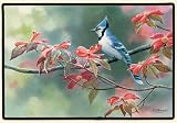 New Fiddler's Elbow Blue Jay Doormat 100% Polyester Face Permanently Dye Printed Fade Resistant