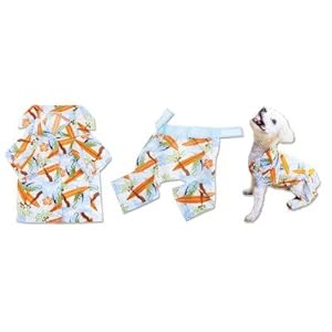 Surf Up Hawaiian T-Shirt and Board Shorts for Dog