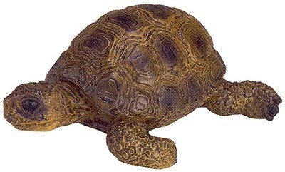 Childrens Toyshop  Toys : Schleich Little Pets Tortoise