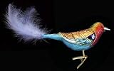 Lilac Breasted Roller
