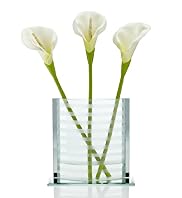 Calla Lily in Stripe Vase