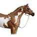 Leather Halter w/ Lead Chain&nbsp;