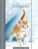 Samtpfoten 2011. Terminplaner