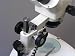 Binocular